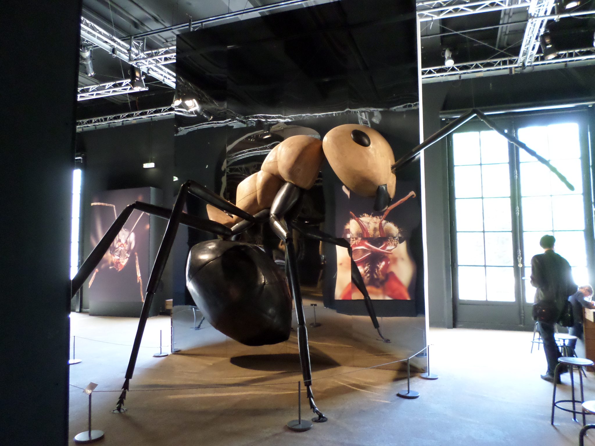 expo-fourmis
