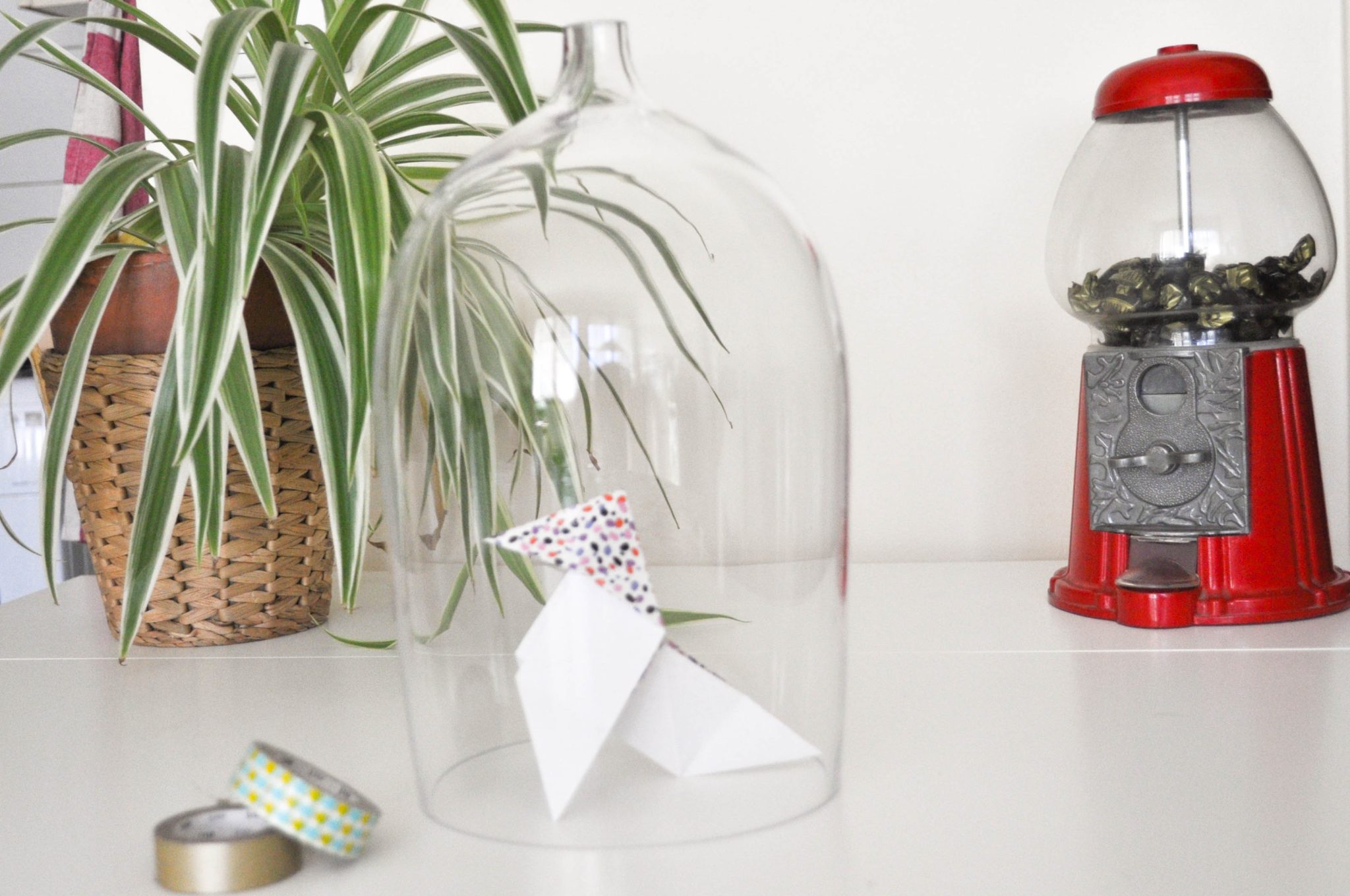 test-avis-designer-box