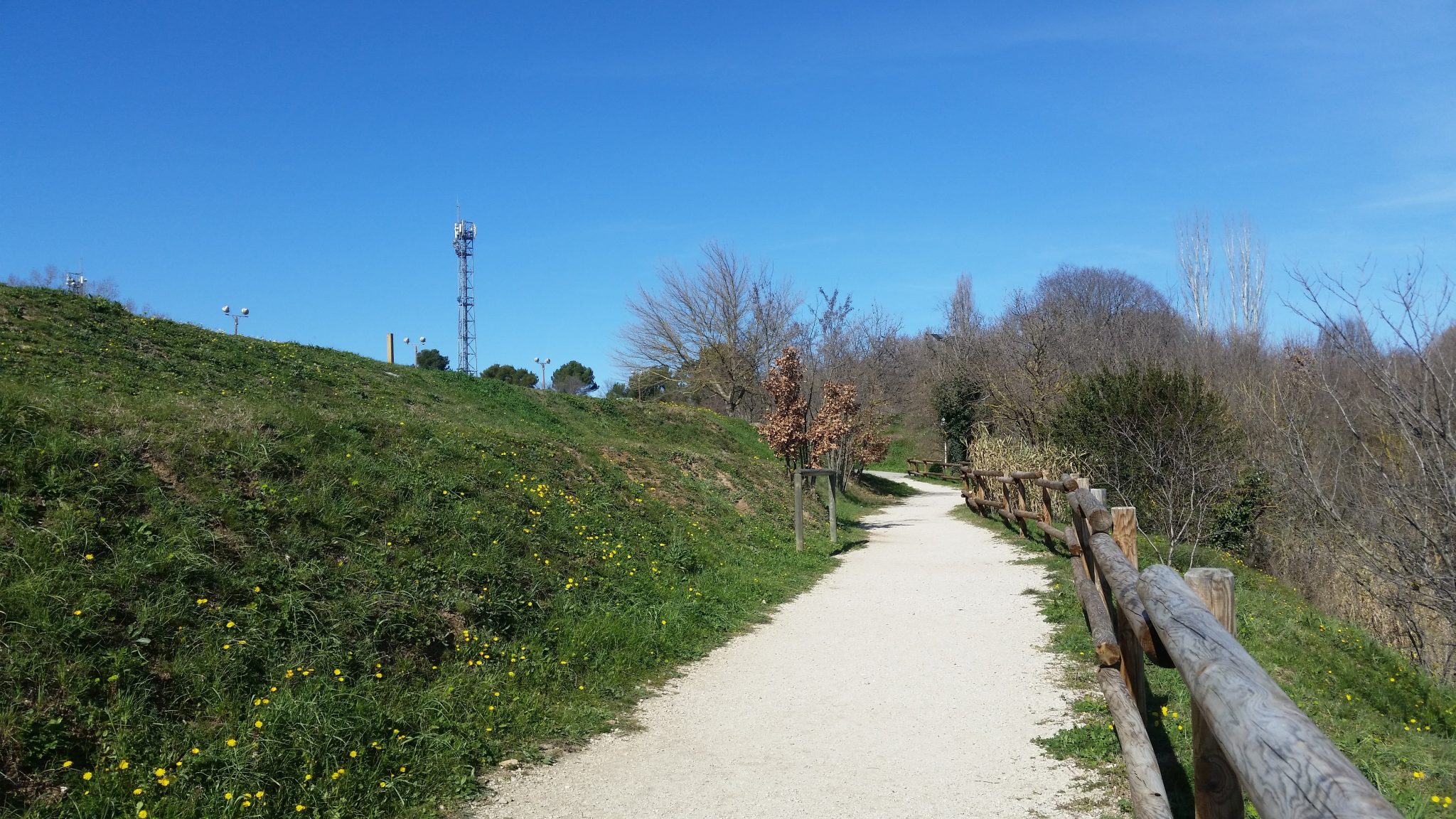 courir-a-aix-torse