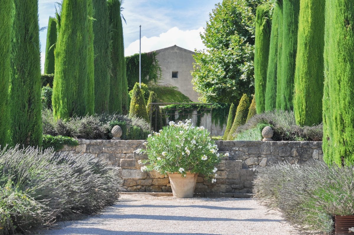 degusation-vin-aix-pertuis-val-joanis